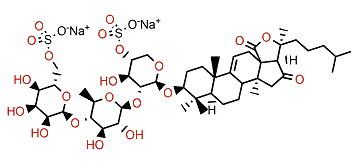 Cercodemasoide B